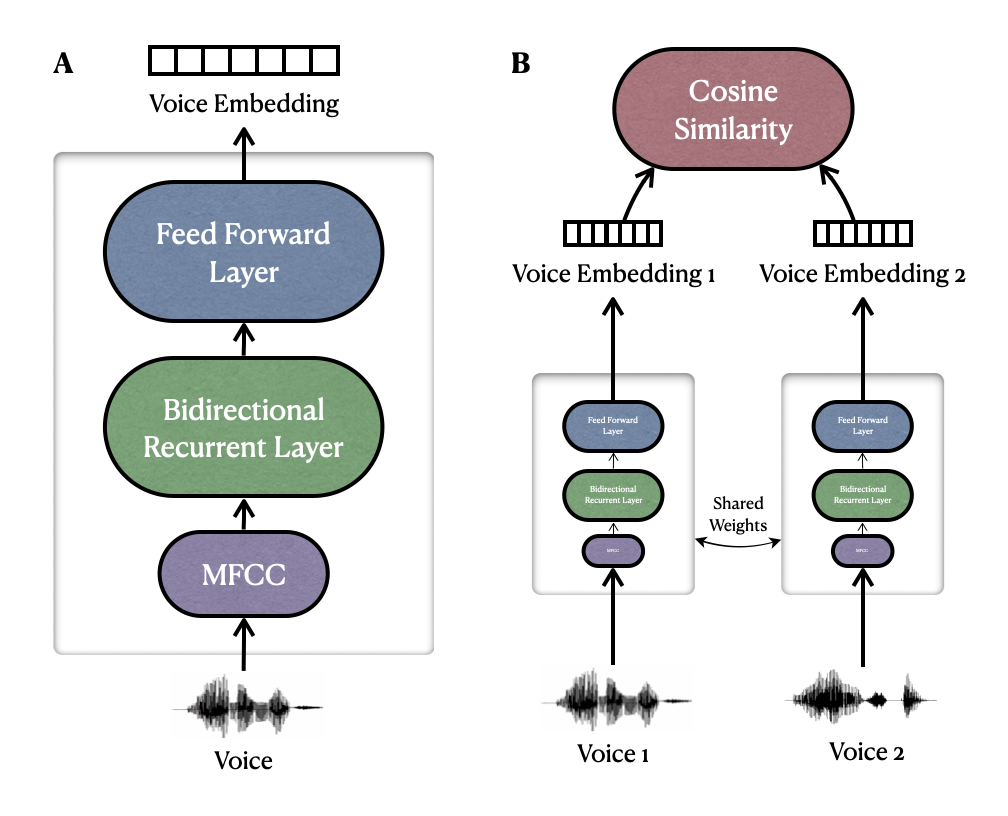 Neural Network Architecture